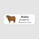 Recherche de lait bureau fournitures Vache