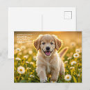 Recherche de symbolisme cartes postales Fleurs