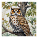 Recherche de hibou brun posters Faune
