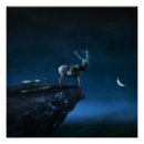Recherche de clair de lune posters Forêt