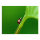 Recherche de professional art Nature