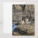 Recherche de ruisseau vœux cartes Forêt