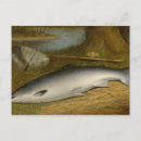Recherche de capture cartes postales Pêche