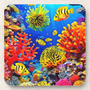 Recherche de récif dessous de verres Corail