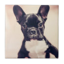 Recherche de minuscule carreaux Mignon