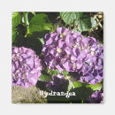 Recherche de timbres magnets Nature