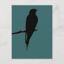 Zoek naar swallow briefkaarten Dier