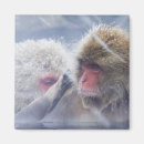 Recherche de honshu magnets Dehors