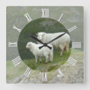 Zoek naar sheep klokken Dier