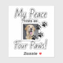 Recherche de citation de chats autocollants Devis de chat