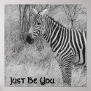 Recherche de cool zebra posters Pour tous