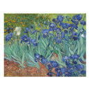Zoek naar iris bloem posters Irissen