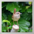 Recherche de insectes de art Mignon