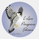 Recherche de faucon autocollants Pérégrin