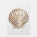 Recherche de coquillage cuisine linges Plage
