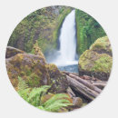 Recherche de columbia autocollants Vert