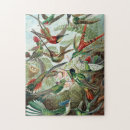 Recherche de oiseaux colorés puzzles Mignon