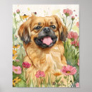 Recherche de de chien posters Dogs
