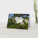 Recherche de plante tropicale vœux cartes Floral