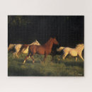 Recherche de leg puzzles Race