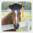 Recherche de pompon autocollants Diplôme
