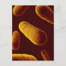 Recherche de biochimie posters Soins de santé