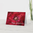 Recherche de macro roses vœux cartes Rose rouge