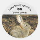 Recherche de lapin bébé autocollants Anniversaire