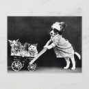 Recherche de chiot drôle cartes postales Amoureux des animaux