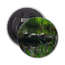 Recherche de tortues ouvre bouteilles Nature