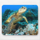 Recherche de mousepad de tortue électronique Chelonia
