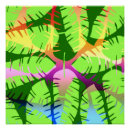 Recherche de bananiers posters Botanique