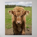 Recherche de épaule posters Animal
