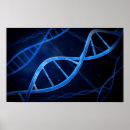 Zoek naar microscopisch posters Deoxyribonucleïnezuur