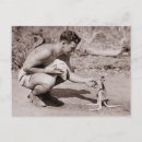 Recherche de kangourou joey cartes postales Australie