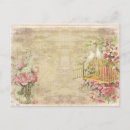 Recherche de colombes blanches cartes postales Vintage