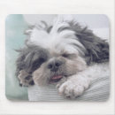 Recherche de tzu shih tapis souris Dog