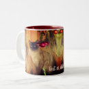 Recherche de siamois tasses Chat