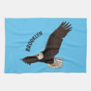 Recherche de aigle chauve cuisine linges Rapace