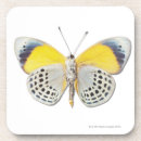 Recherche de animal bar Nature