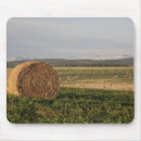 Recherche de domaine tapis souris Agriculture