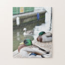 Recherche de eau en photographie Nature