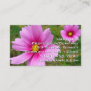 Recherche de cosmos cartes visite Floral