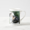 Recherche de chats et films tasses Fantôme