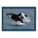 Recherche de orques vœux cartes Dauphins