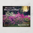 Recherche de highlands cartes postales Nature