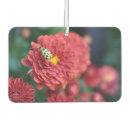 Recherche de insecte voiture accessoires Nature