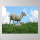 Recherche de moutons de art Enfant