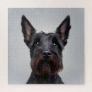 Recherche de scottish terrier puzzles Drôle