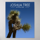 Recherche de joshua tree posters Aventure